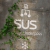 sus.png